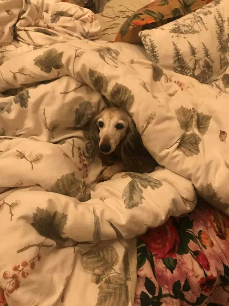 Condolence image of LIEBE♥️SEHNSUCHT♥️HOFFNUNG♥️