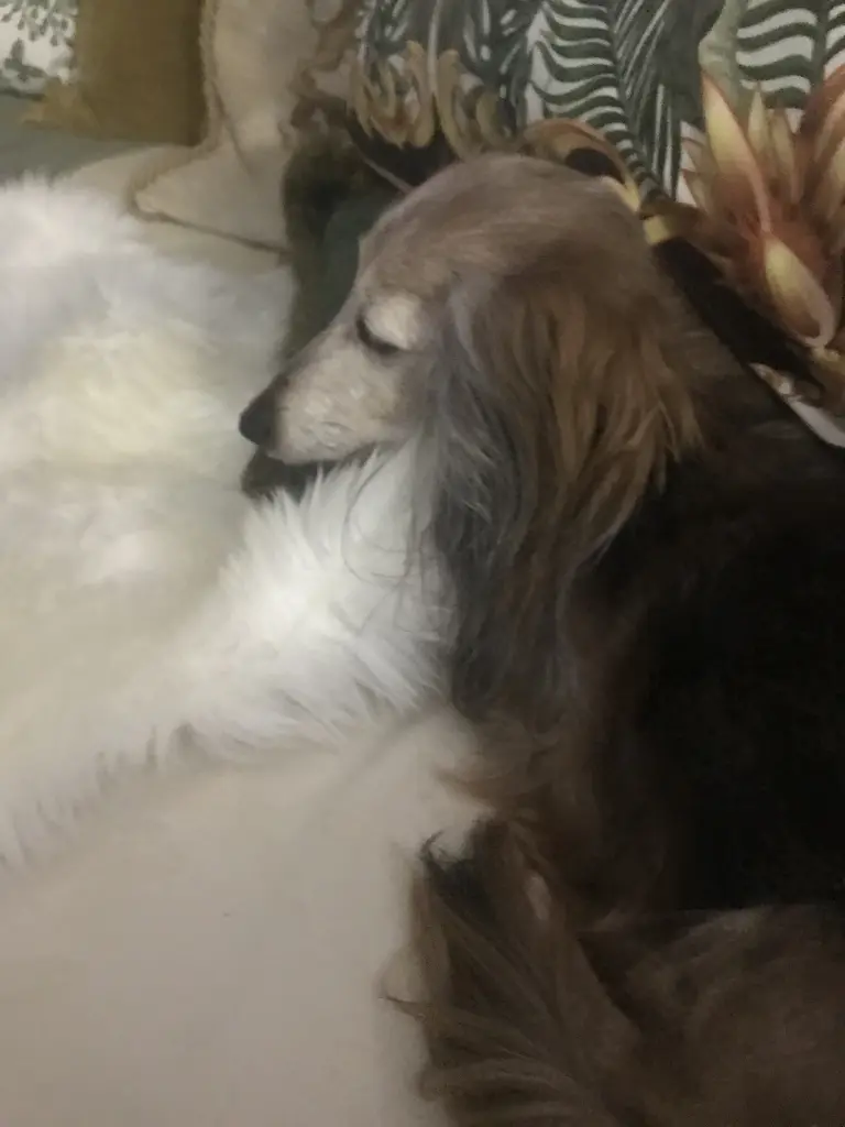 Condolence image of ♥️♥️♥️♥️♥️