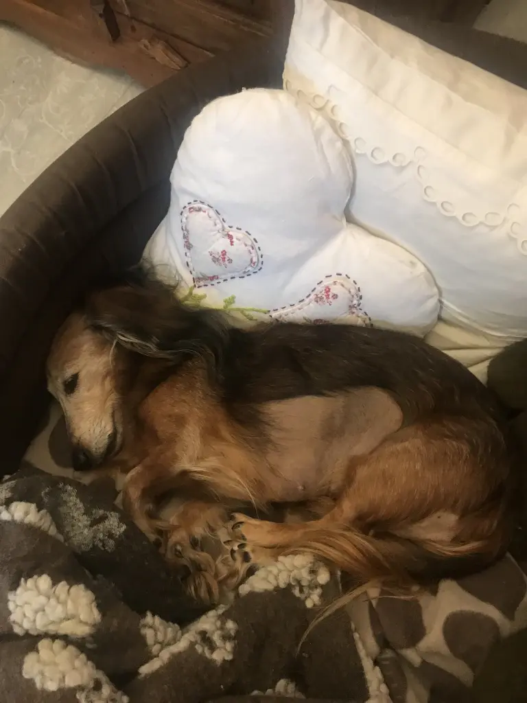 Condolence image of ♥️LIEBE♥️SEHNSUCHT♥️HOFFNUNG♥️