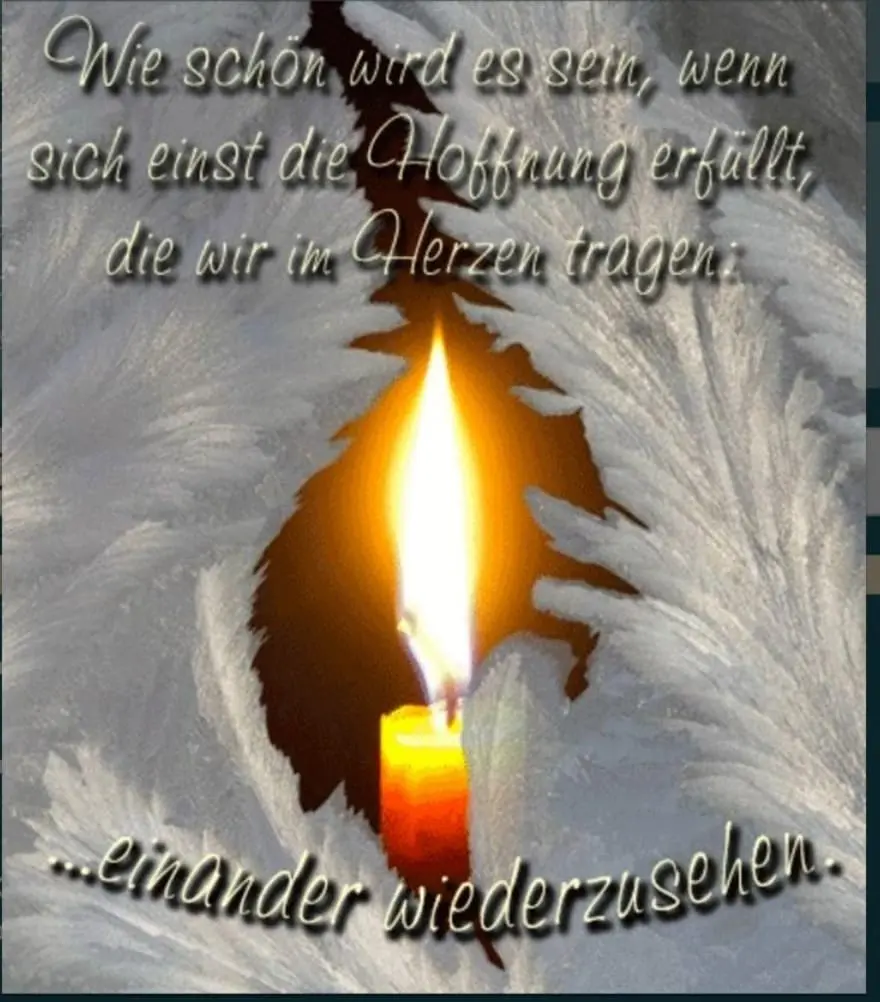 Condolence image of ♥️Mein Stern⭐️Himmel ♥️