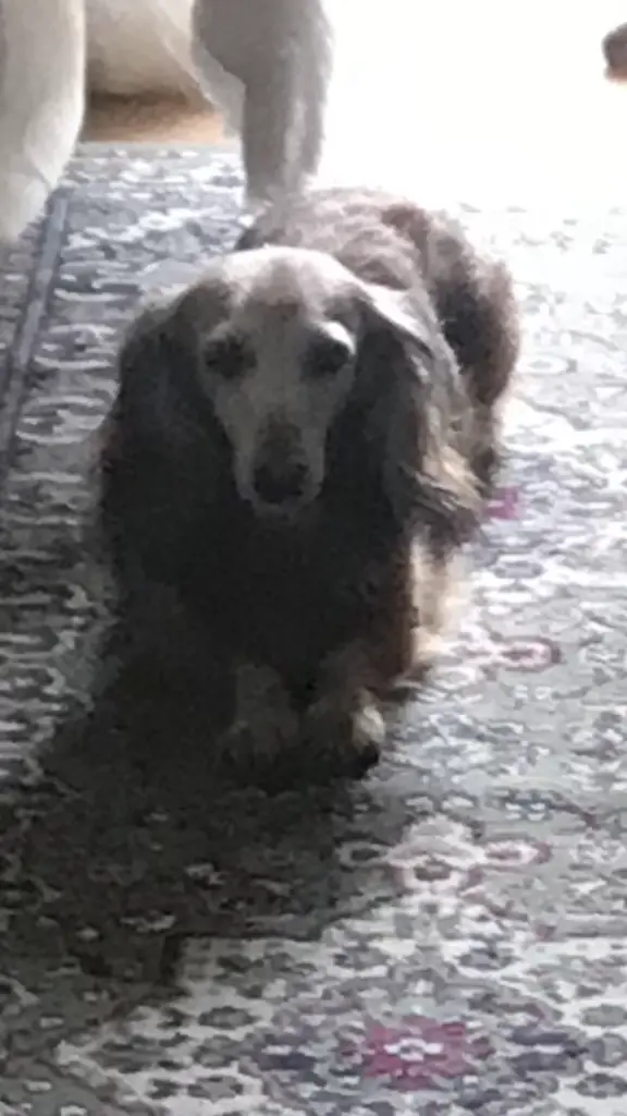 Condolence image of ♥️♥️♥️♥️♥️