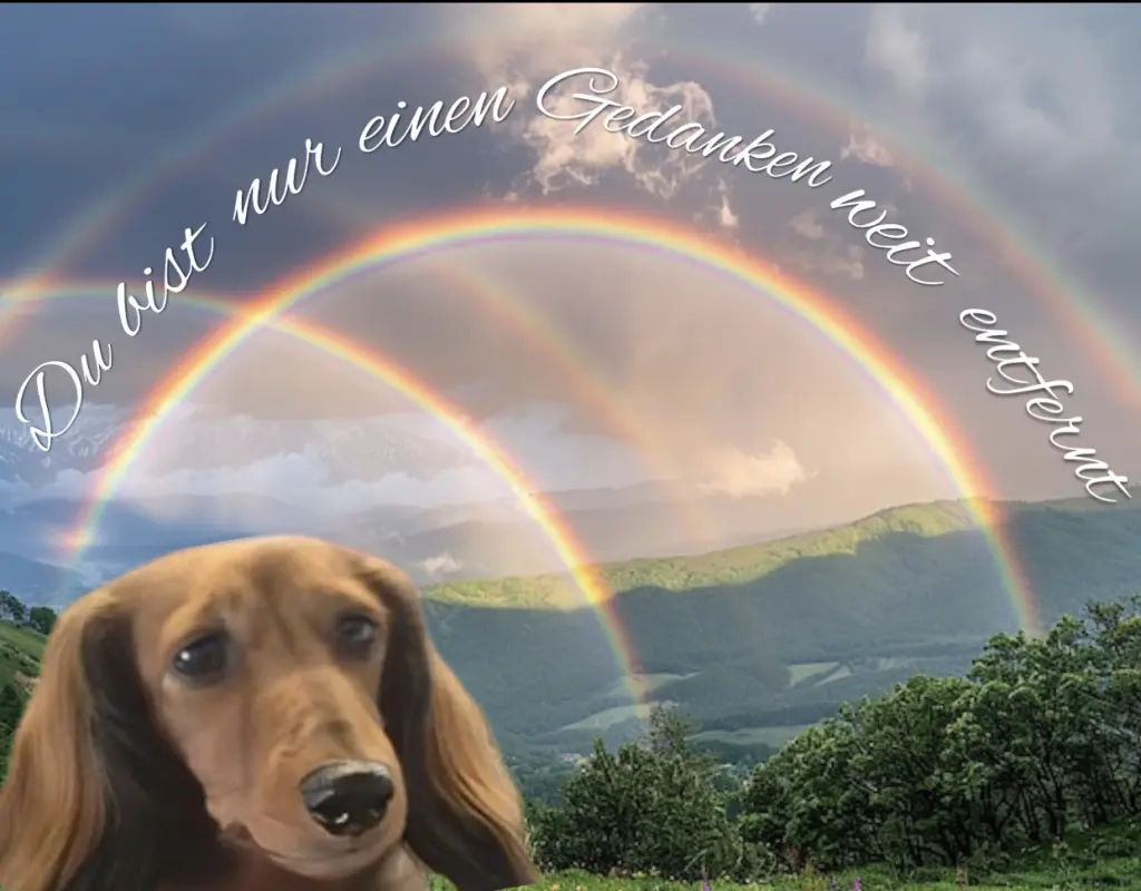 Condolence image of ♥️Mein ⭐️am Himmel ♥️