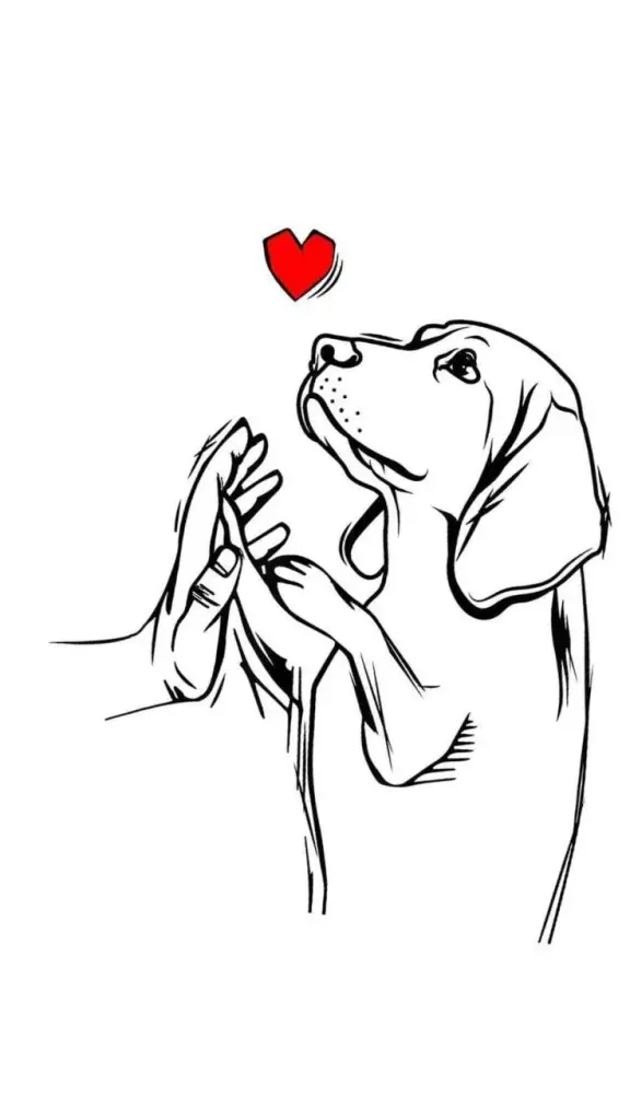 Condolence image of Martina mit Seelenhund Samy ♥️⭐♥️ für immer im Herzen 