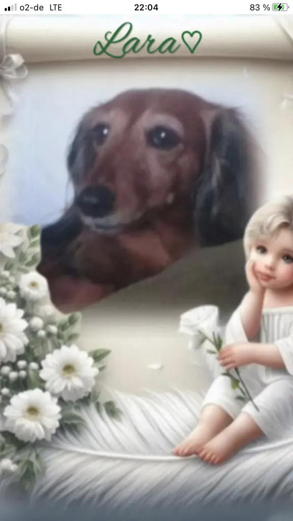 Condolence image of Unbekannt