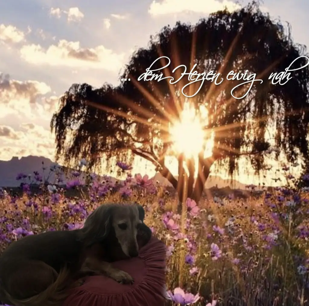 Condolence image of ♥️♥️♥️♥️♥️