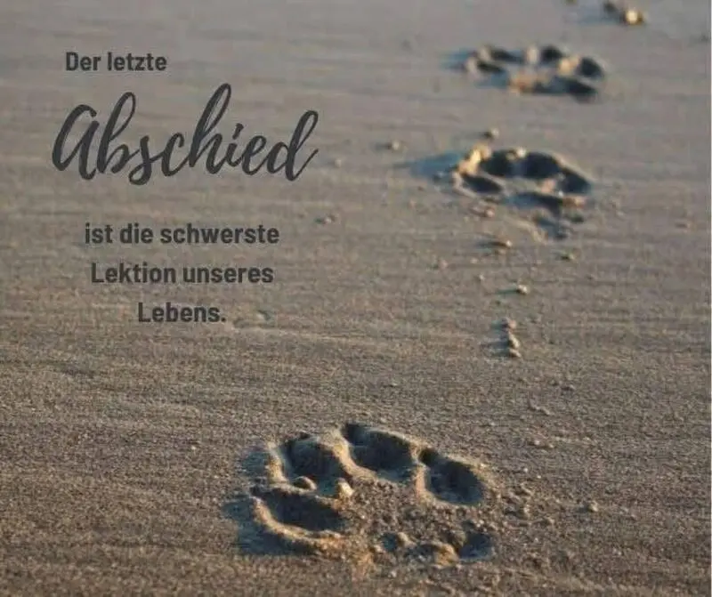 Condolence image of Paul mit "Seelenhund Spiky im Herzen"