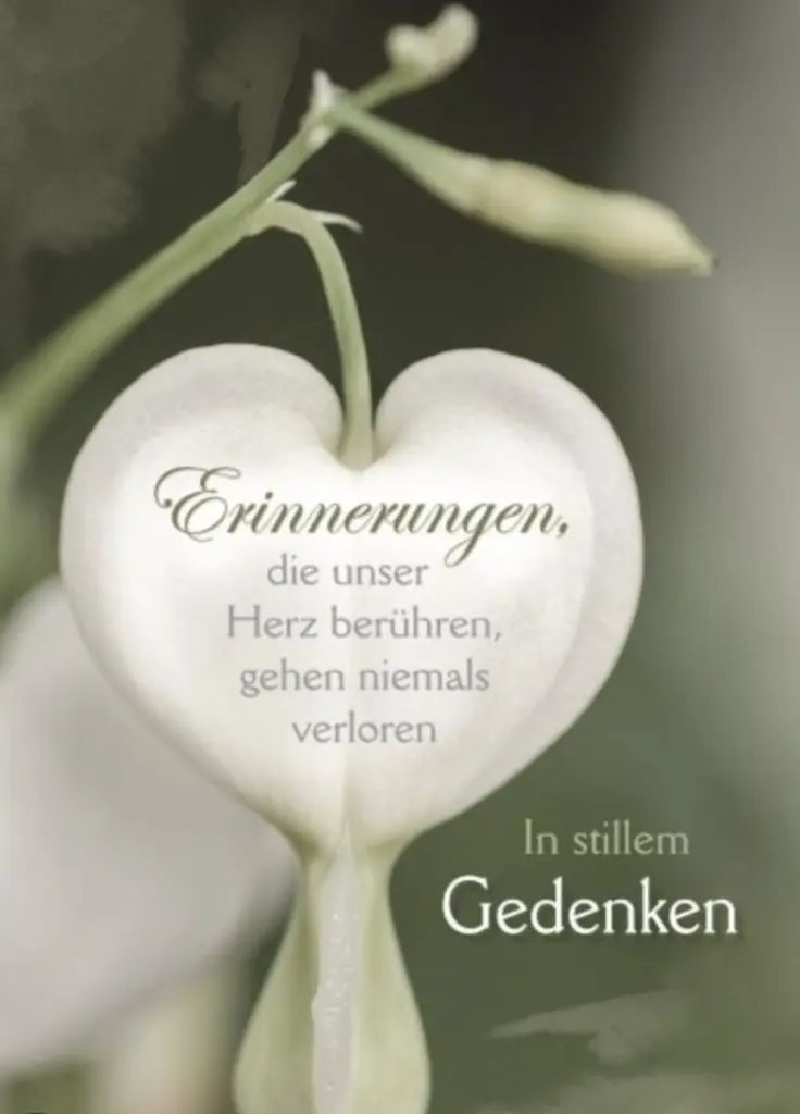 Condolence image of 39 Wochen ohne dich♥️mein Herz ❤️