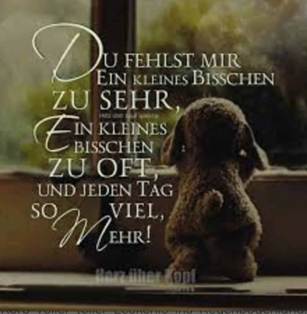 Condolence image of ♥️LIEBE♥️SEHNSUCHT♥️HOFFNUNG♥️