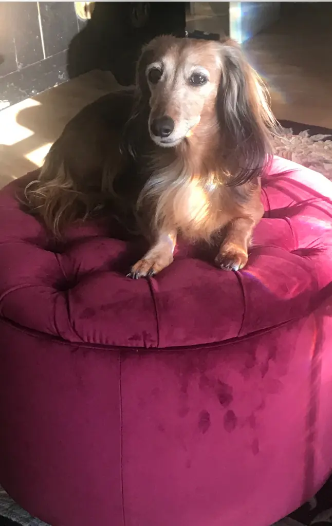 Condolence image of 💞💞💞💞💞💞💞💞💞💞