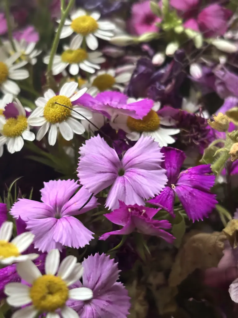 Condolence image of ♥️🌹♥️🌹♥️🌹♥️🌹♥️🌹♥️