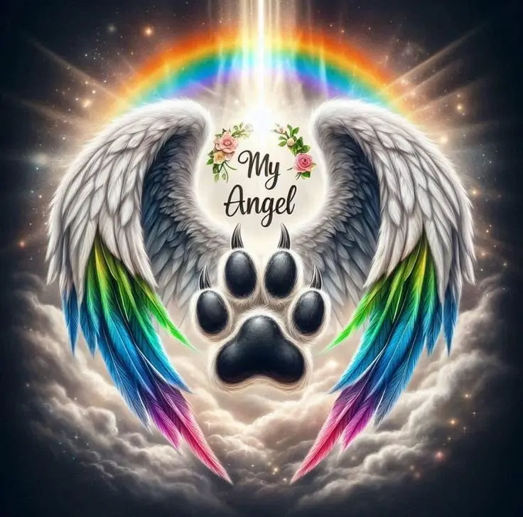 Condolence image of Janine mit Seelenhund Sheela ganz tief im Herzen ❤️