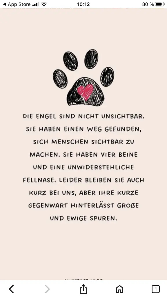 Condolence image of Heike mit Bobbie im Herzen 💞 und Teddy 🧸 zur Seite