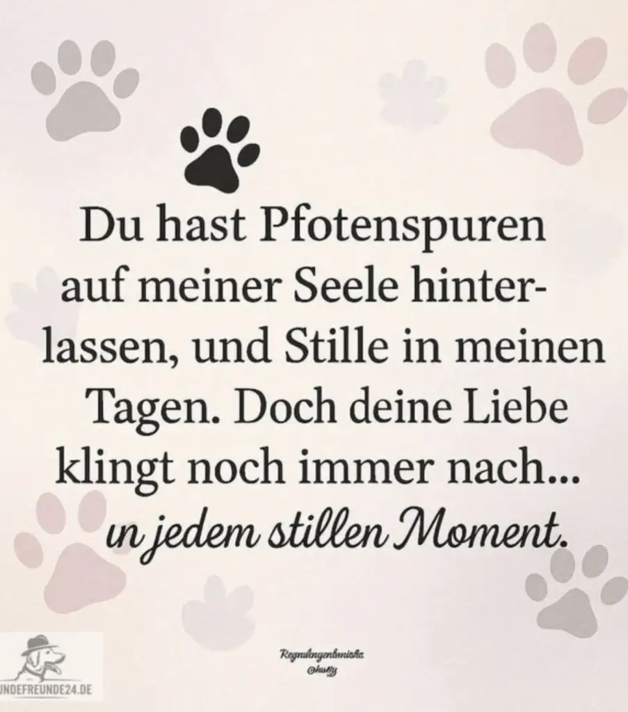 Condolence image of ♥️♥️♥️♥️♥️