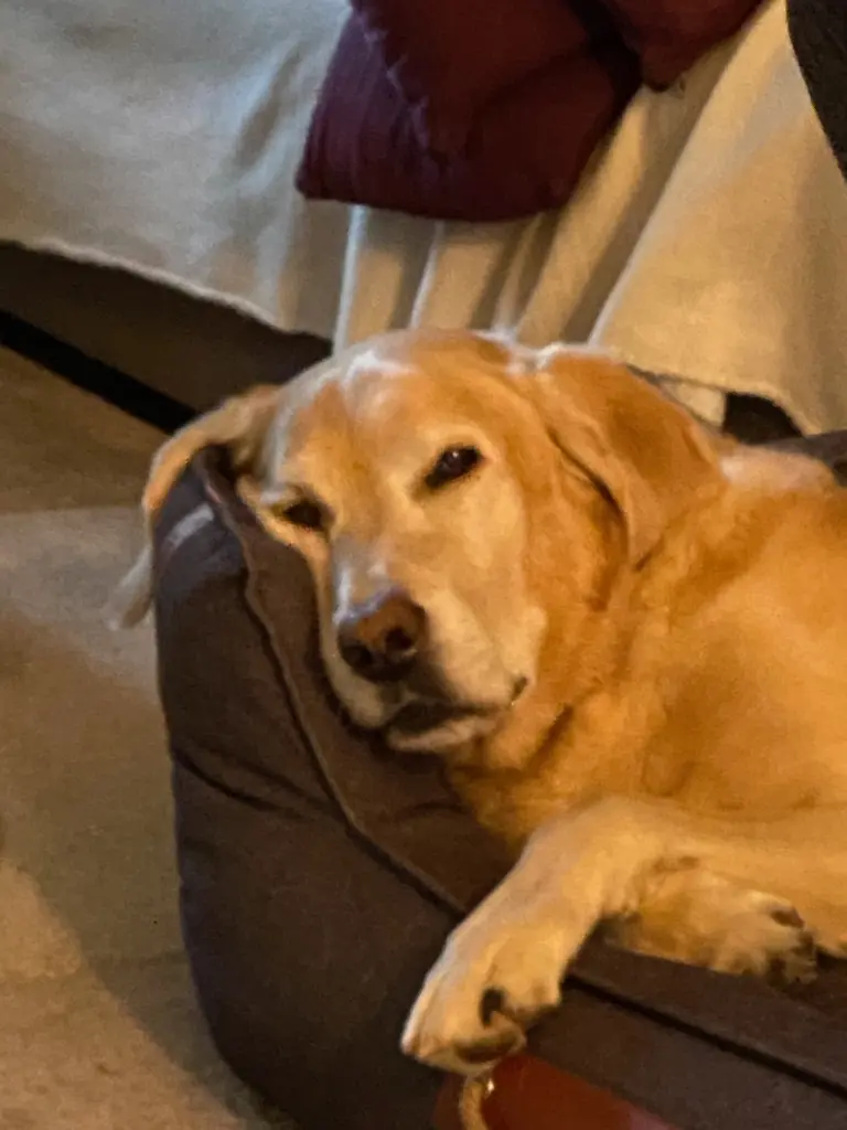 Condolence image of Birgit