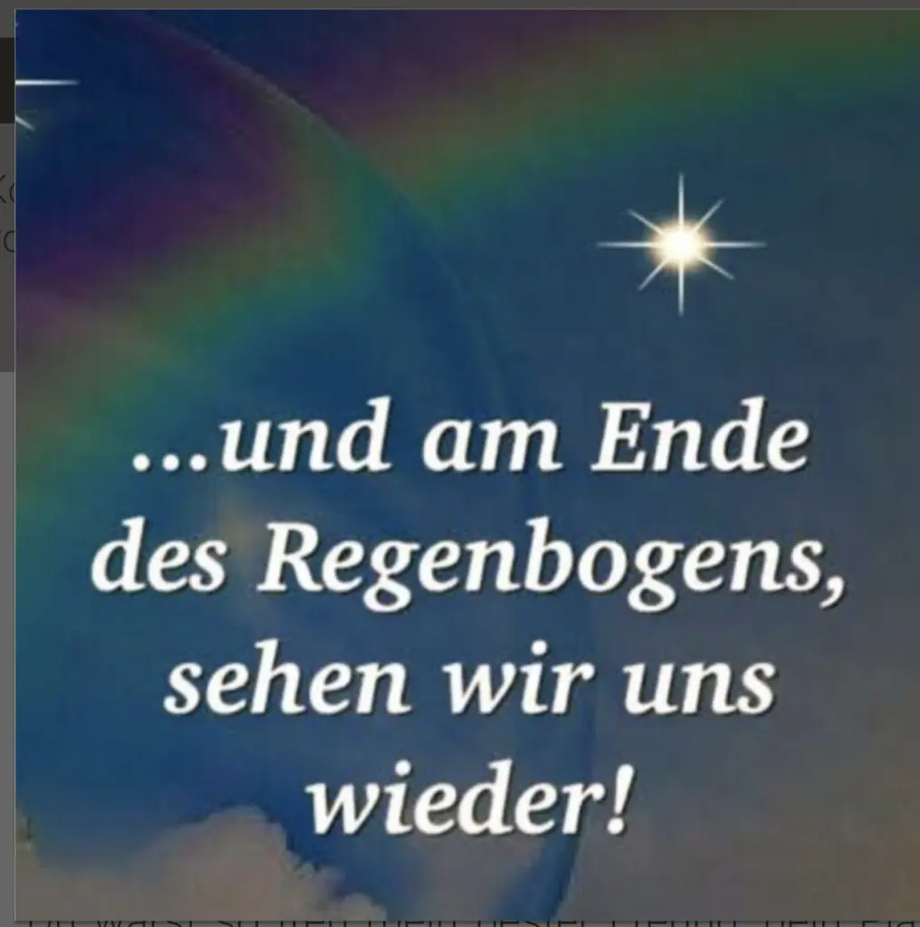 Condolence image of ♥️♥️♥️♥️♥️