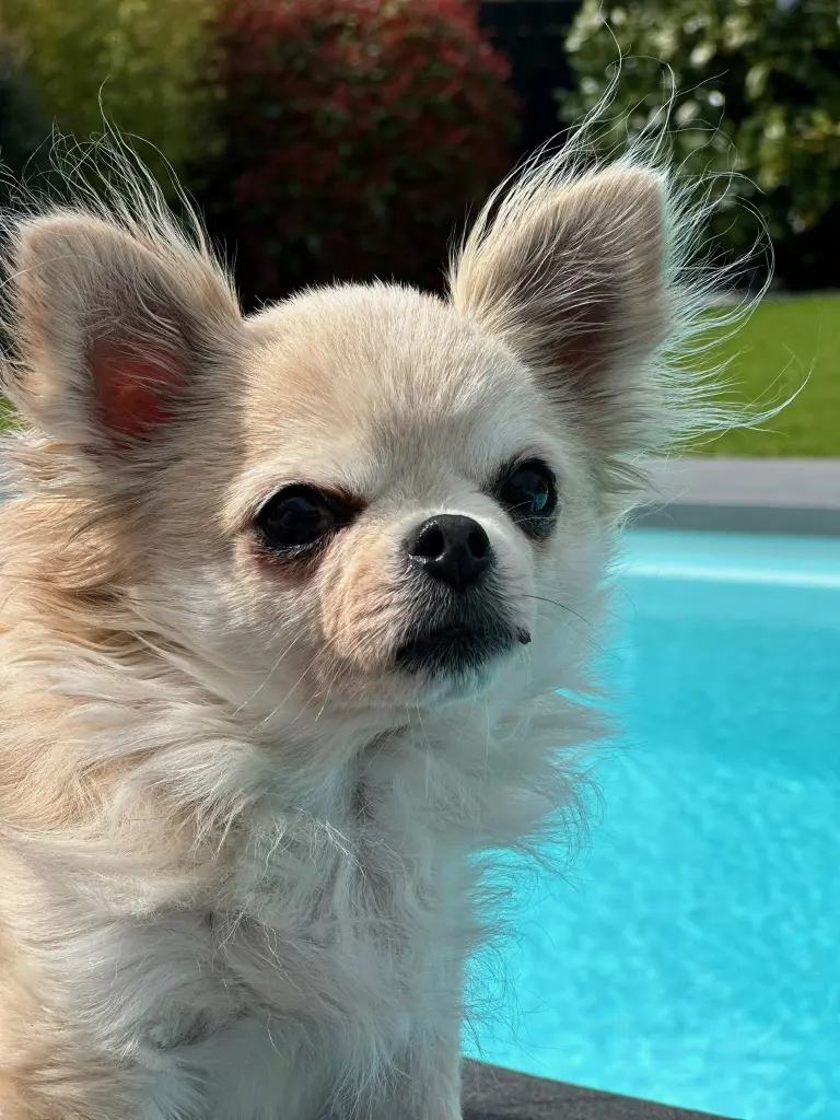 Condolence image of Tanja Voigt