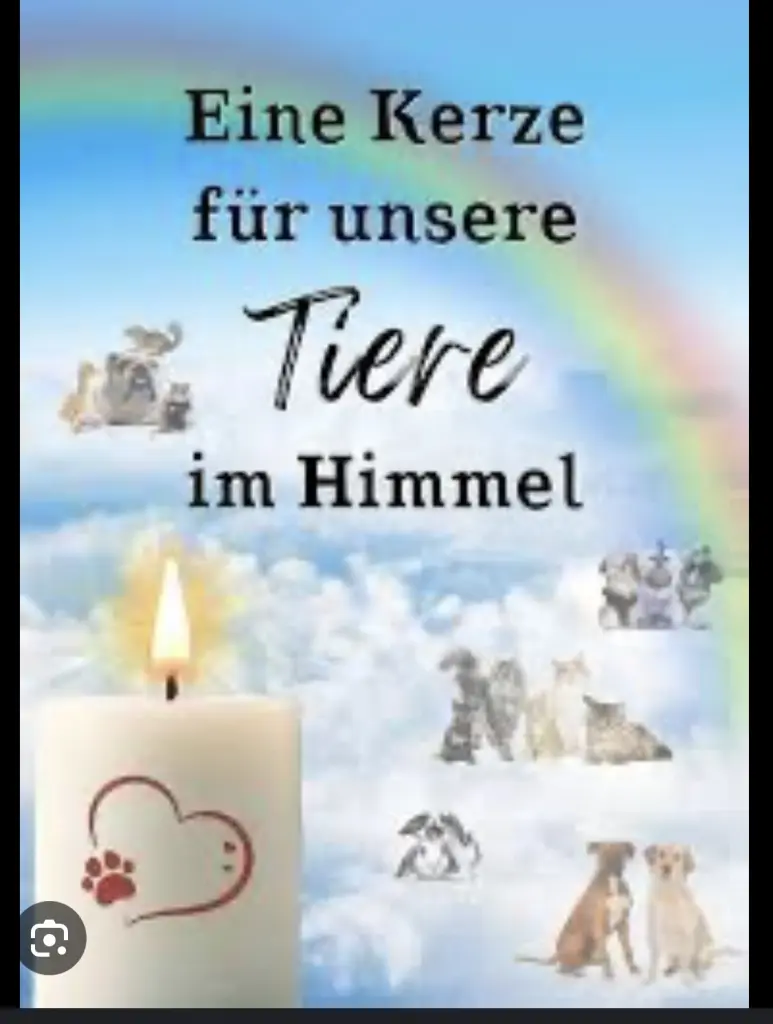 Condolence image of Mona mit Lina im ♥️