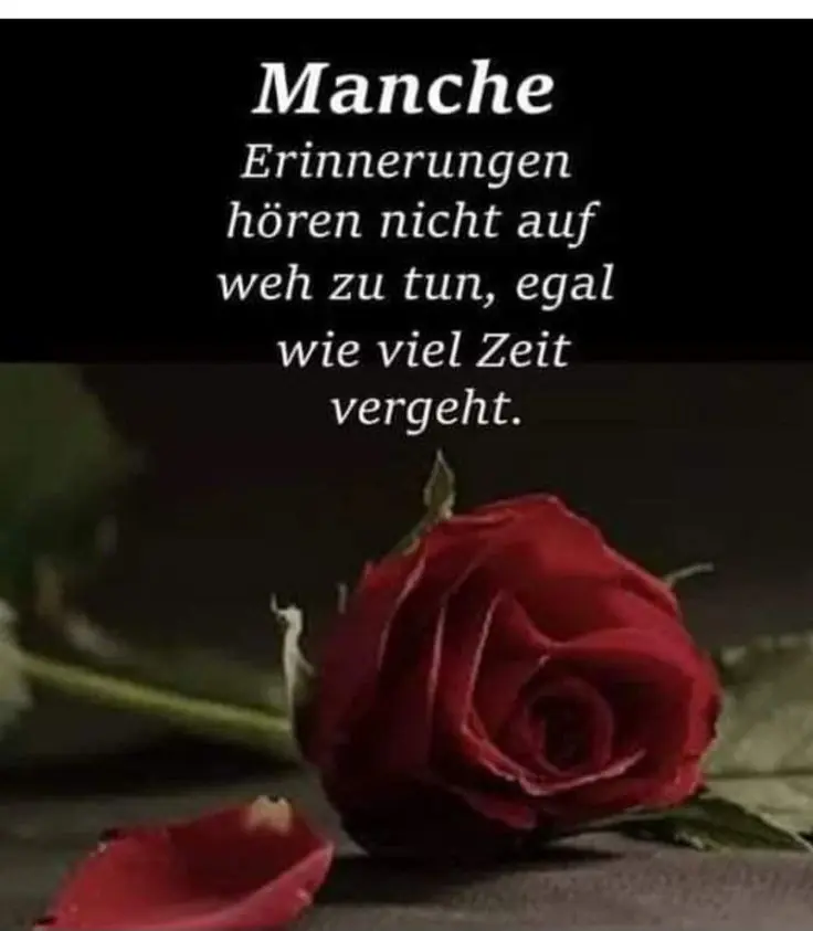 Condolence image of Manuela mit Fiby im ❤️