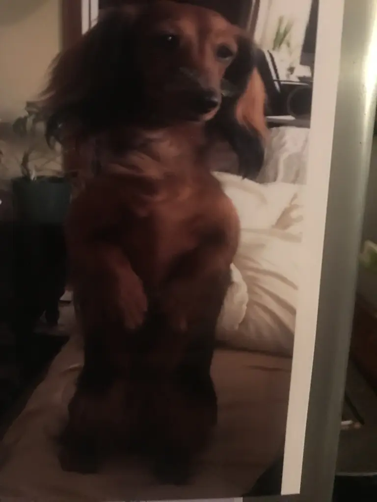 Condolence image of LIEBE♥️💕SEHNSUCHT♥️💕HOFFNUNG♥️💕