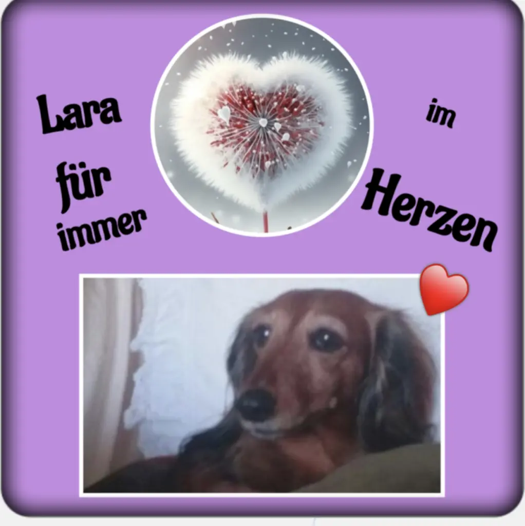 Condolence image of LIEBE ♡ SEHNSUCHT