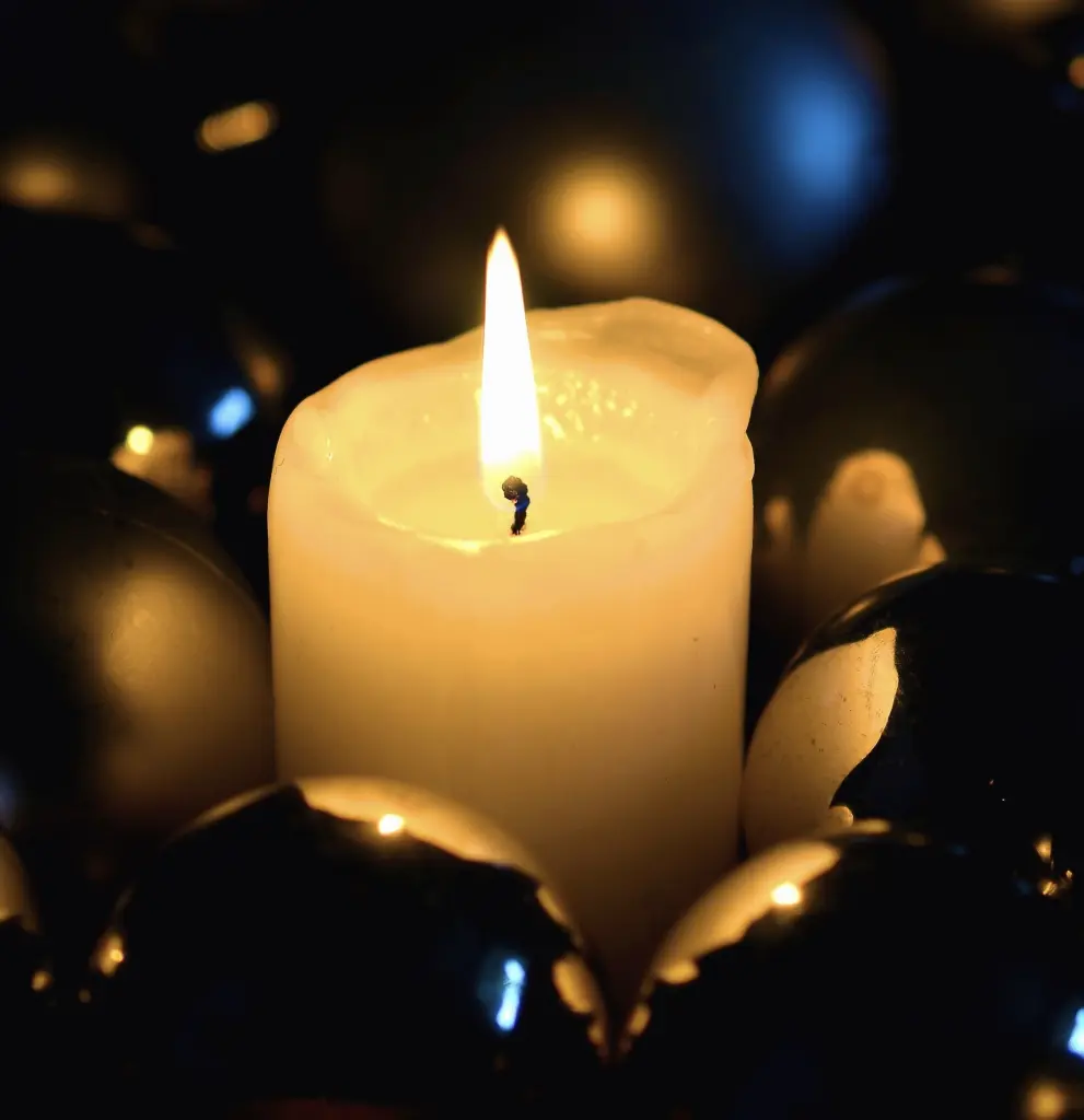 Condolence image of Janine & Sheela 🌹🐾🌹