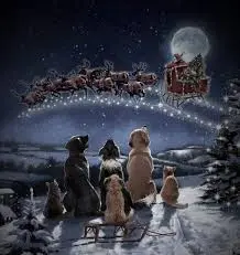 Condolence image of Weihnachtsgruß von ❤️