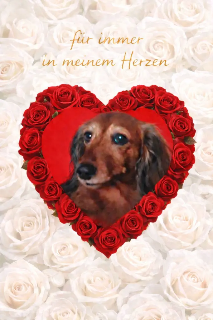 Condolence image of 1. Sternenjahr ⭐️