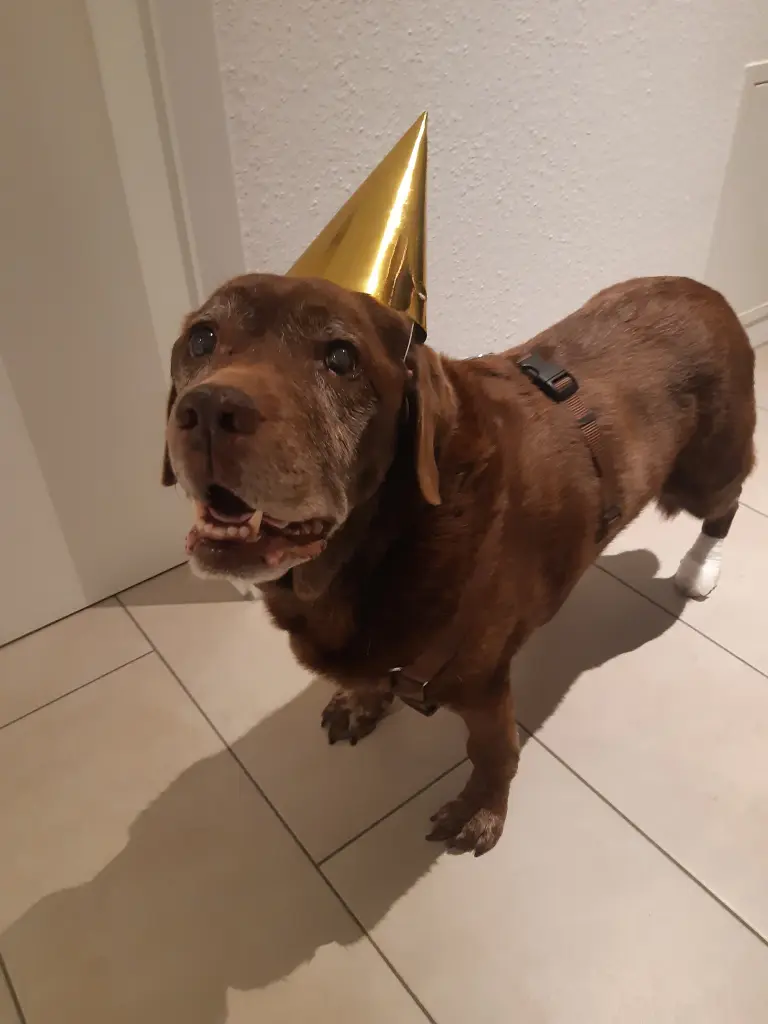 Condolence image of Diana