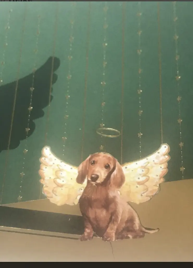 Condolence image of ⭐️✨