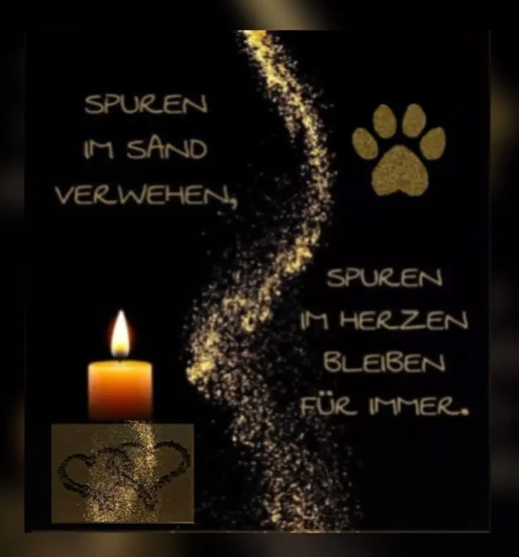 Condolence image of Janine 🐾 Sheela