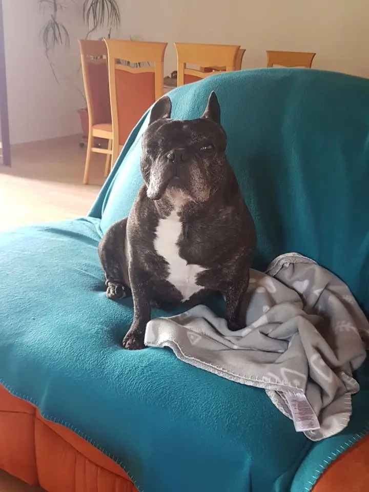 Condolence image of Von Yoda für Lara