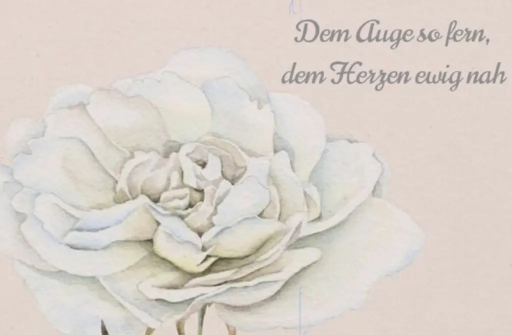 Condolence image of ♥️