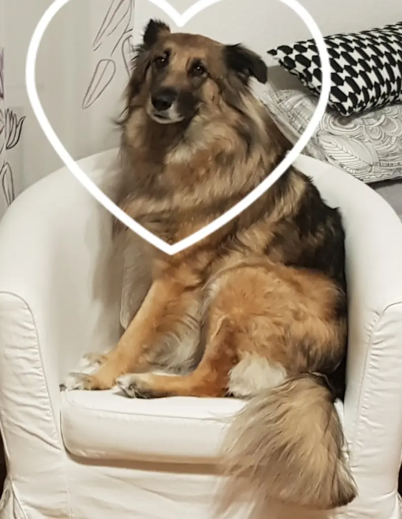 Condolence image of ❤️❤️❤️❤️❤️❤️❤️❤️❤️❤️