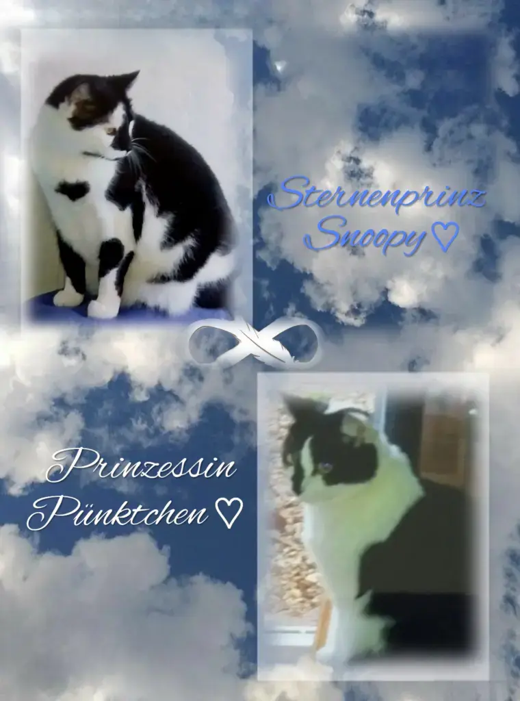 Condolence image of Snoopy und Pünktchen ❤️ ❤️