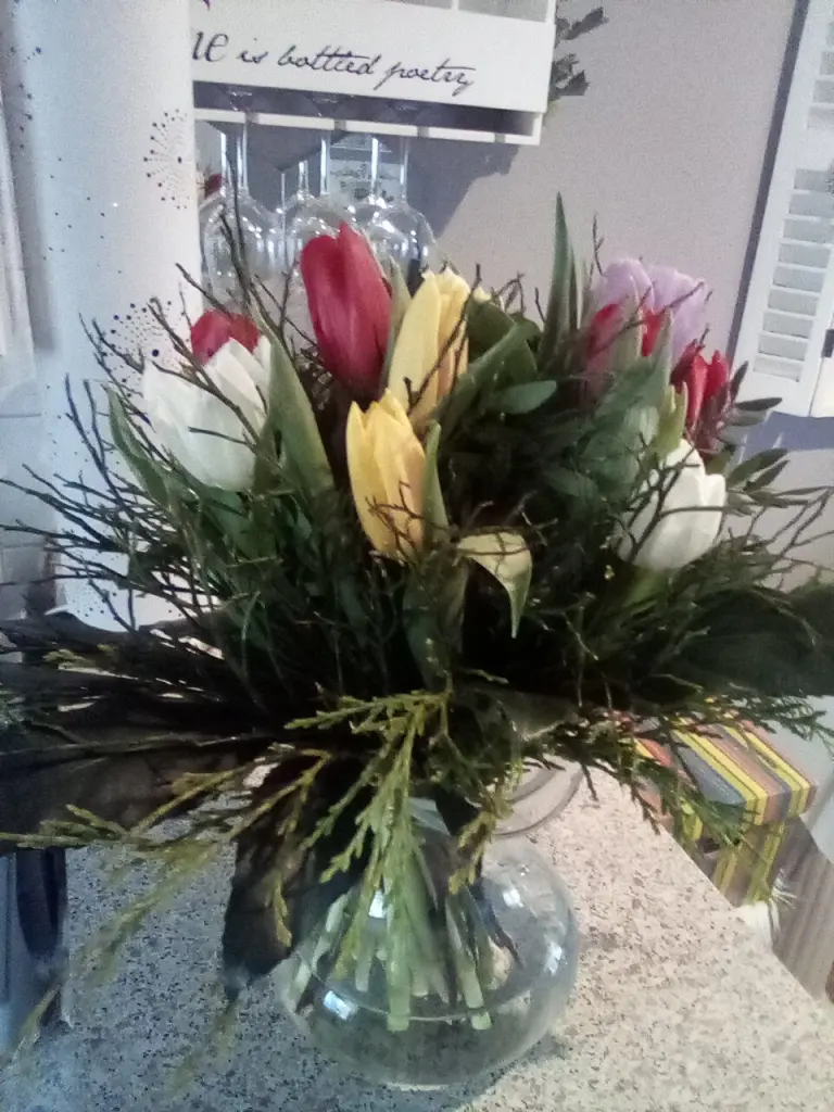 Condolence image of Beate mit Elvis, Baby, Presley und Priscilla im Herzen❤❤❤❤