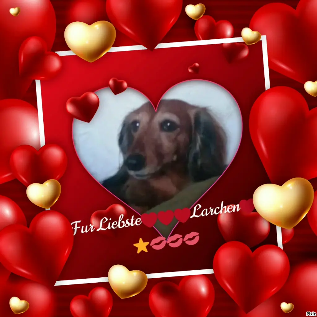 Condolence image of Fur Liebste❤️❤️❤️Larchen❤️⭐️🫶🫶🫶💋💋💋