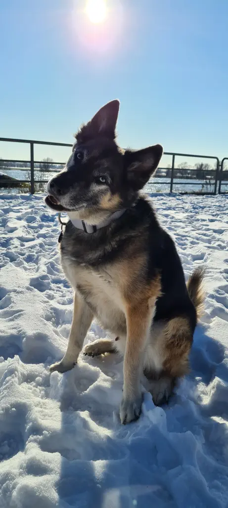 Condolence image of Desi F.