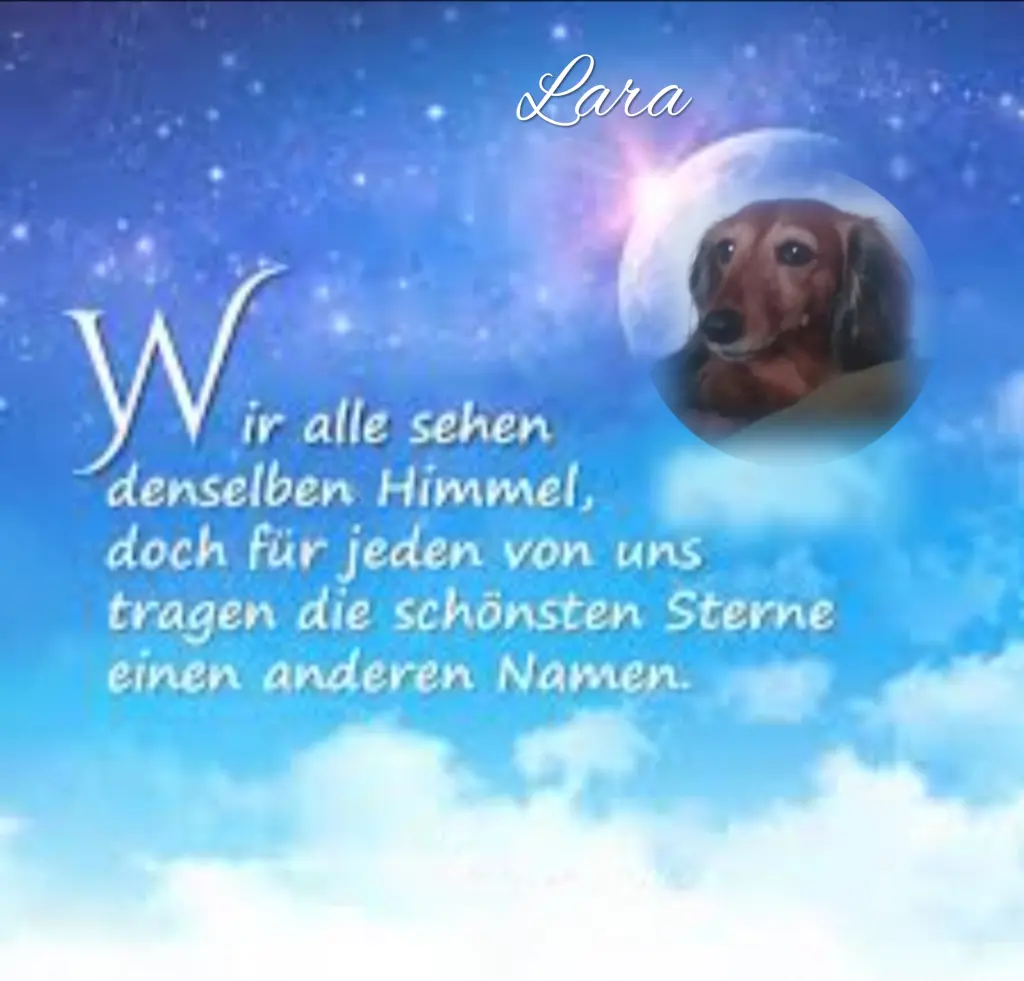 Condolence image of ♥️♥️