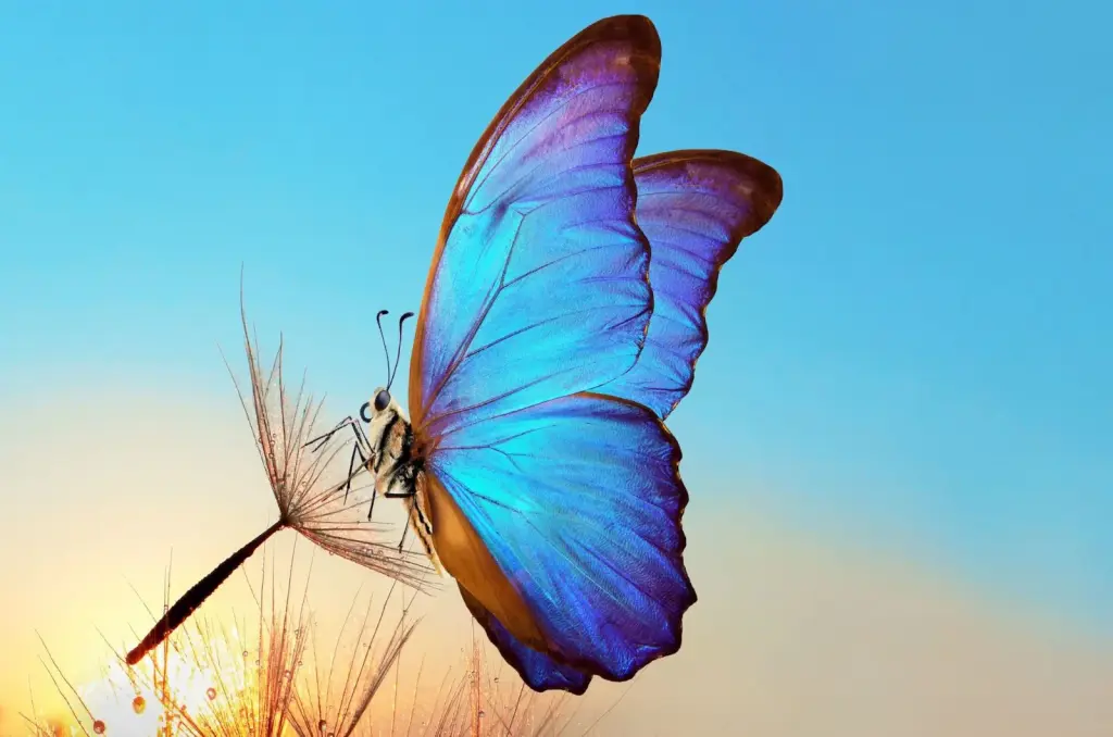 Condolence image of Iris mit Eliot und Linus im ♥