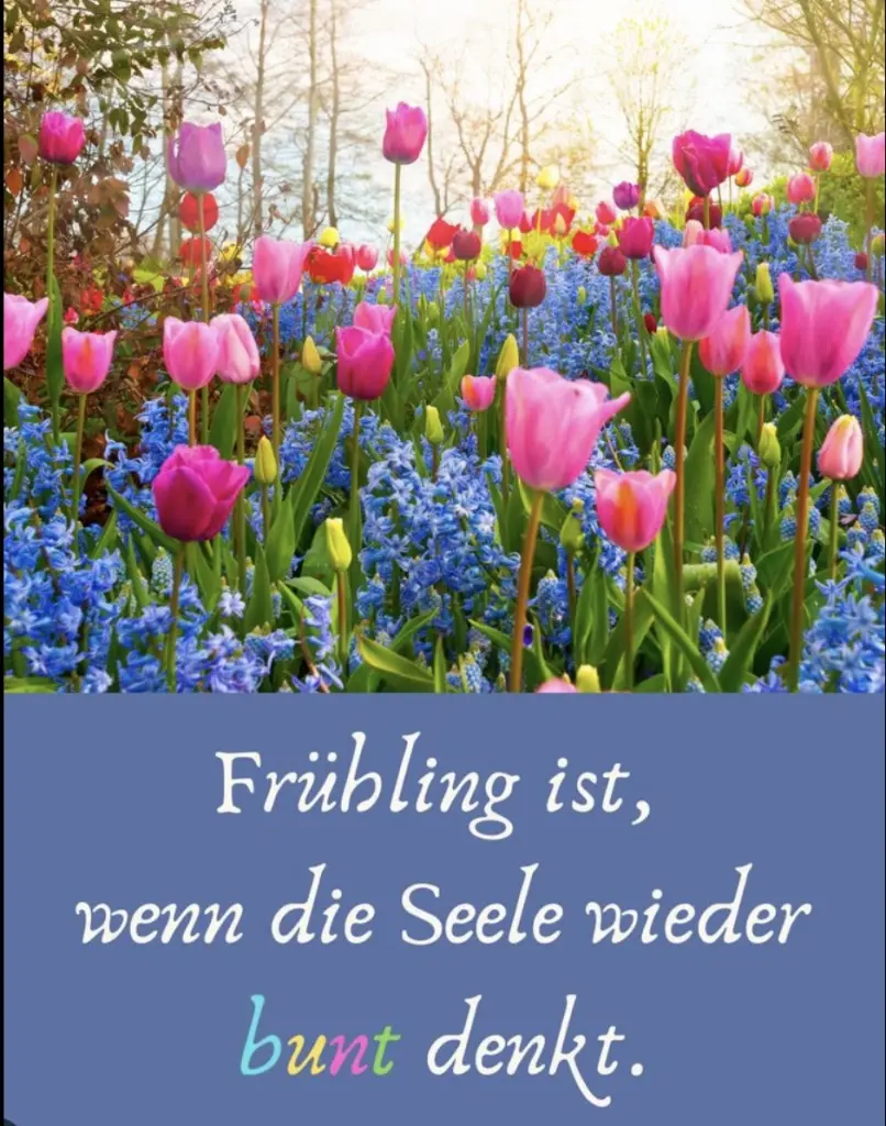 Condolence image of Mona mit Lina tief im ❤️