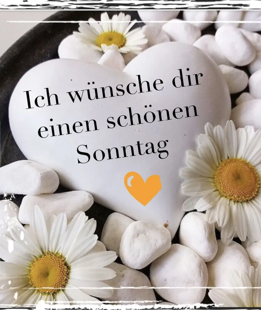 Condolence image of Janine 🐾 Sheela