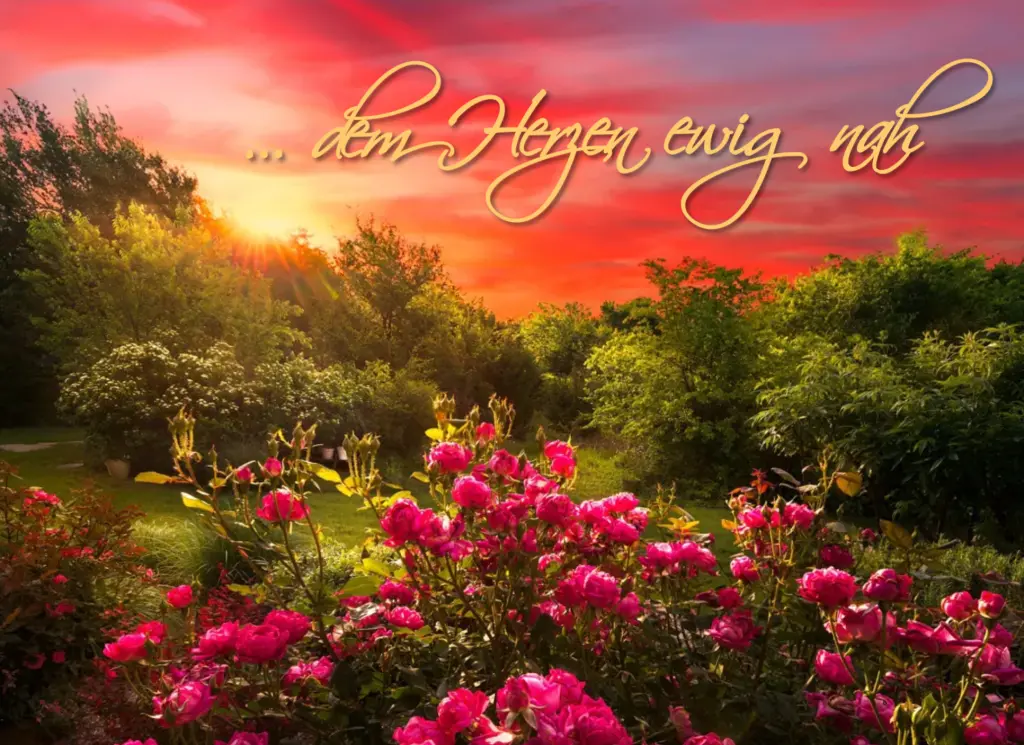 Condolence image of 🌹♡ Licht & Liebe♡ 🌹 für Lara♡ 🌹