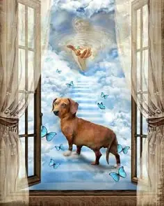 Condolence image of Für Lara von ❤️