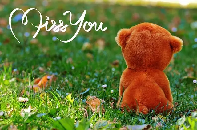 Condolence image of Iris mit Eliot und Linus im ♥