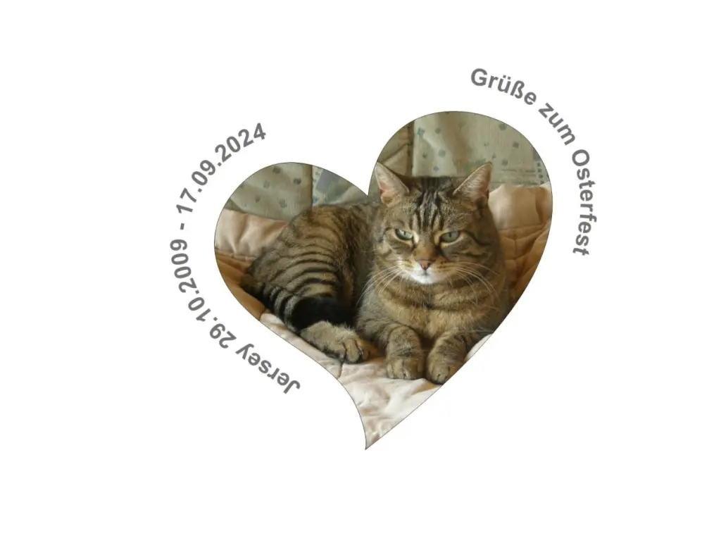 Condolence image of Bernd mit Jersey im Herzen ❤️