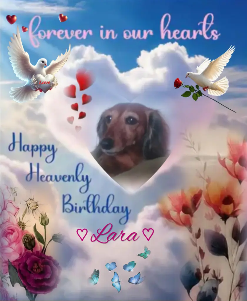 Condolence image of *:·.🌺Happy Birthday🌺.·:* allerliebste 🌺Lara🌺