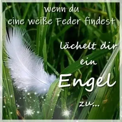 Condolence image of 🥀 Für♡Lara♡Licht & Liebe♡🥀