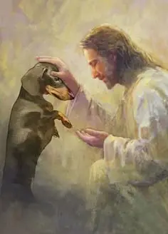 Condolence image of Von ❤️für Lara 🥀