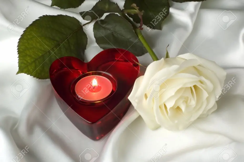Condolence image of Melitta
