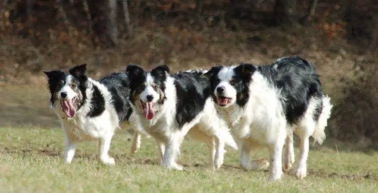 Condolence image of Tanja